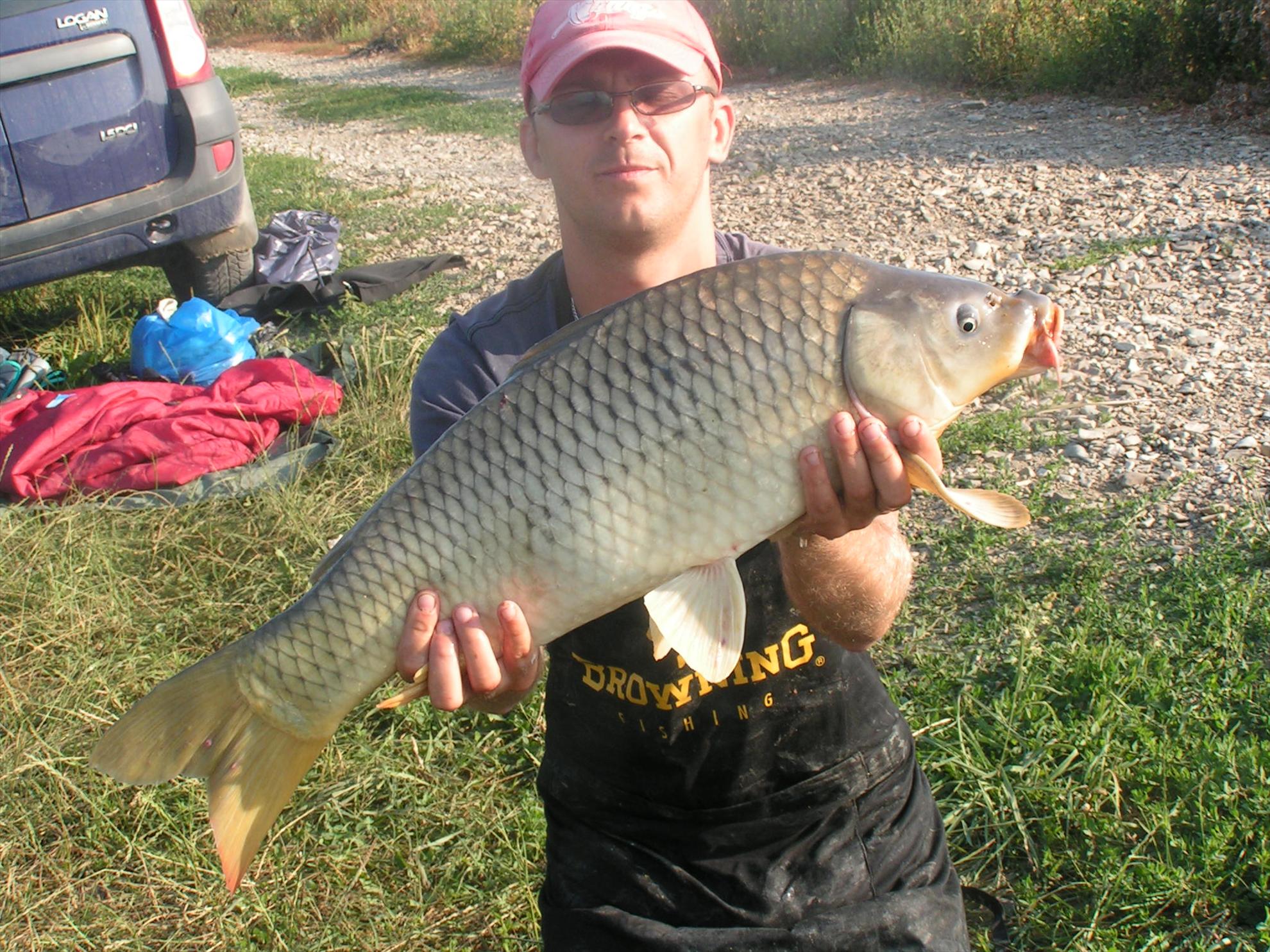 Lates 9-10.07.2012 - pict0869.JPG